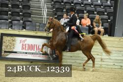 24BUCK_12339 thumbnail