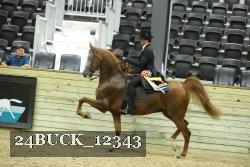 24BUCK_12343 thumbnail
