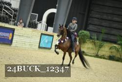 24BUCK_12347 thumbnail