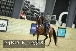 24BUCK_12348 thumbnail