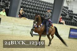 24BUCK_12349 thumbnail