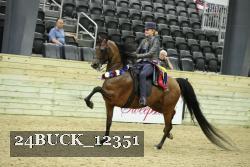 24BUCK_12351 thumbnail