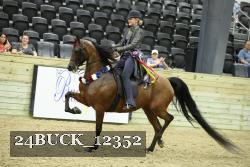24BUCK_12352 thumbnail