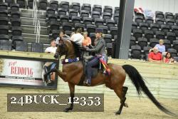 24BUCK_12353 thumbnail