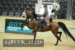 24BUCK_12356 thumbnail