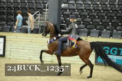 24BUCK_12357 thumbnail