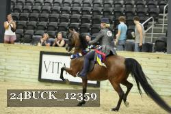 24BUCK_12359 thumbnail