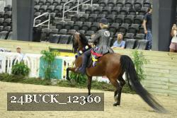 24BUCK_12360 thumbnail