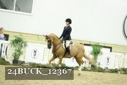24BUCK_12367 thumbnail