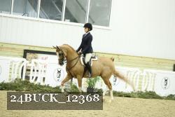 24BUCK_12368 thumbnail