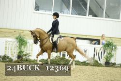 24BUCK_12369 thumbnail
