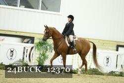 24BUCK_12370 thumbnail