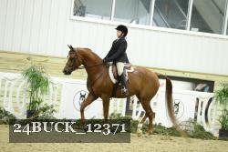 24BUCK_12371 thumbnail