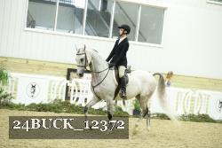 24BUCK_12372 thumbnail