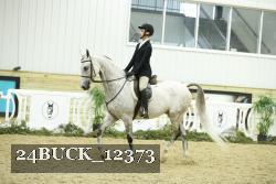 24BUCK_12373 thumbnail