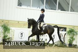 24BUCK_12377 thumbnail