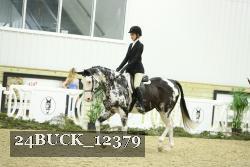 24BUCK_12379 thumbnail