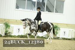 24BUCK_12380 thumbnail