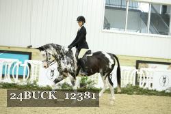 24BUCK_12381 thumbnail