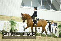 24BUCK_12382 thumbnail