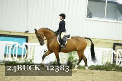 24BUCK_12383 thumbnail
