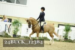 24BUCK_12384 thumbnail