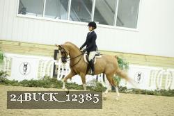 24BUCK_12385 thumbnail