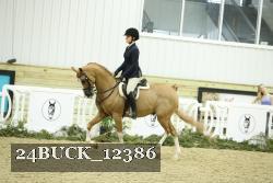 24BUCK_12386 thumbnail