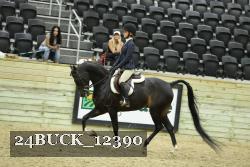 24BUCK_12390 thumbnail