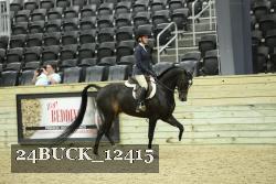 24BUCK_12415 thumbnail