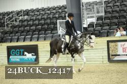 24BUCK_12417 thumbnail