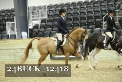 24BUCK_12418 thumbnail