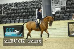 24BUCK_12419 thumbnail