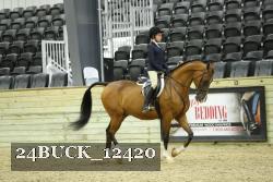 24BUCK_12420 thumbnail