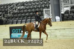 24BUCK_12423 thumbnail