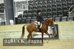 24BUCK_12424 thumbnail
