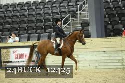 24BUCK_12425 thumbnail