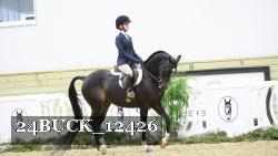 24BUCK_12426 thumbnail