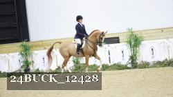 24BUCK_12428 thumbnail