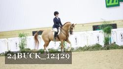 24BUCK_12429 thumbnail