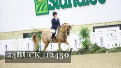 24BUCK_12430 thumbnail