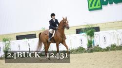 24BUCK_12431 thumbnail