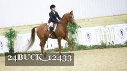 24BUCK_12433 thumbnail