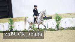 24BUCK_12434 thumbnail