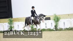 24BUCK_12437 thumbnail