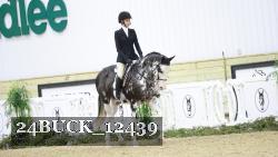 24BUCK_12439 thumbnail