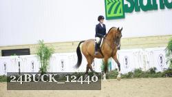 24BUCK_12440 thumbnail