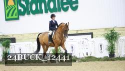 24BUCK_12441 thumbnail