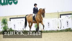 24BUCK_12442 thumbnail
