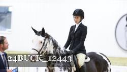 24BUCK_12443 thumbnail